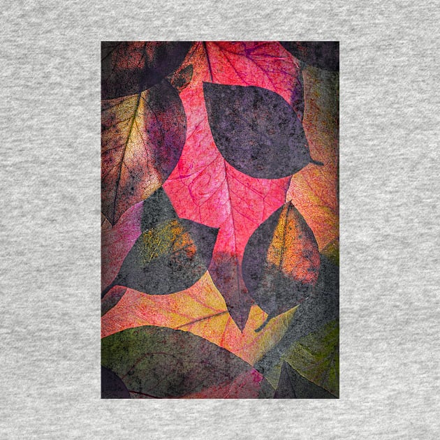 Colourful Abstract Leaf Collage with Texture by TonyNorth